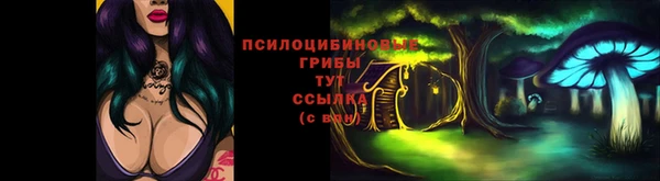 PSILOCYBIN Баксан