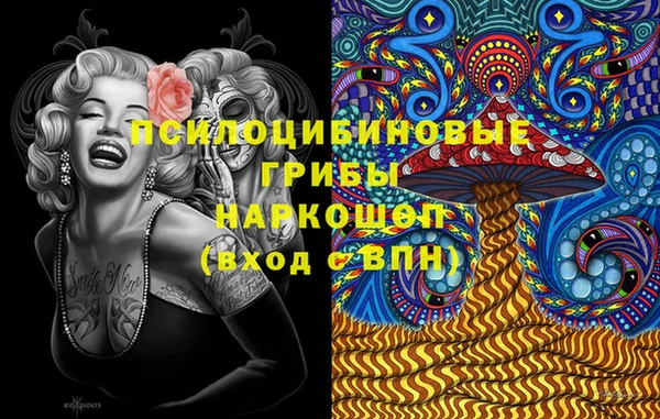 мет Алексин