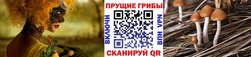 Псилоцибиновые грибы ЛСД  OMG как войти  Коряжма  цены  