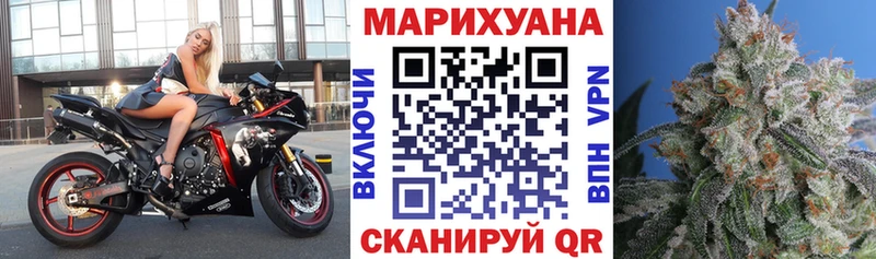 закладка Коряжма Каннабис конопля